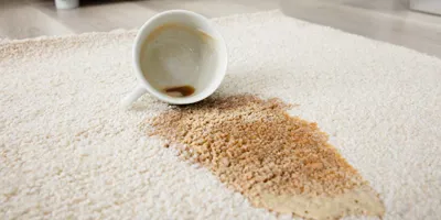 une tasse de café renversée laissant une tache de café sur un tapis écru